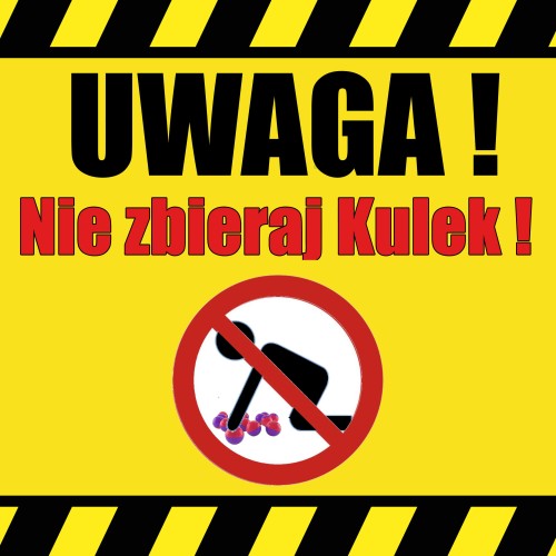 Nie zbieraj kulek.jpg