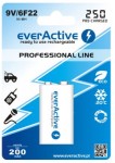 Akumulator 9,0V everActive