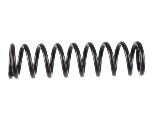 19449 BT4 Sear Spring.JPG