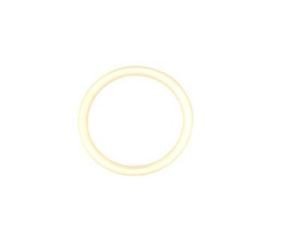 19425 BT4 Internal Valve O-Ring.JPG